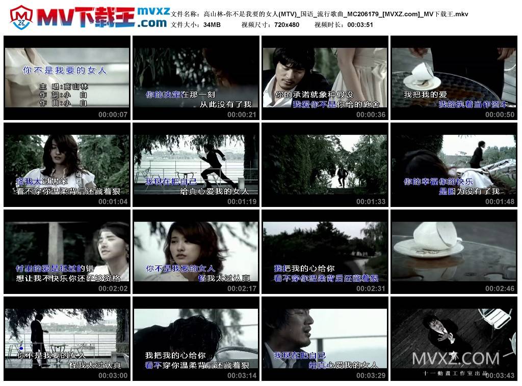 高山林-你不是我要的女人(MTV)_国语_流行歌曲_MC206179